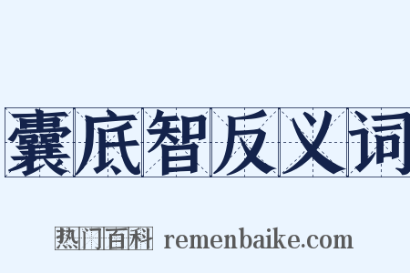 囊底智反义词是什么意思的图片